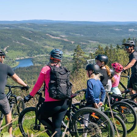 Lyxig Stuga Pa Branaesberget Sysslebäck Buitenkant foto