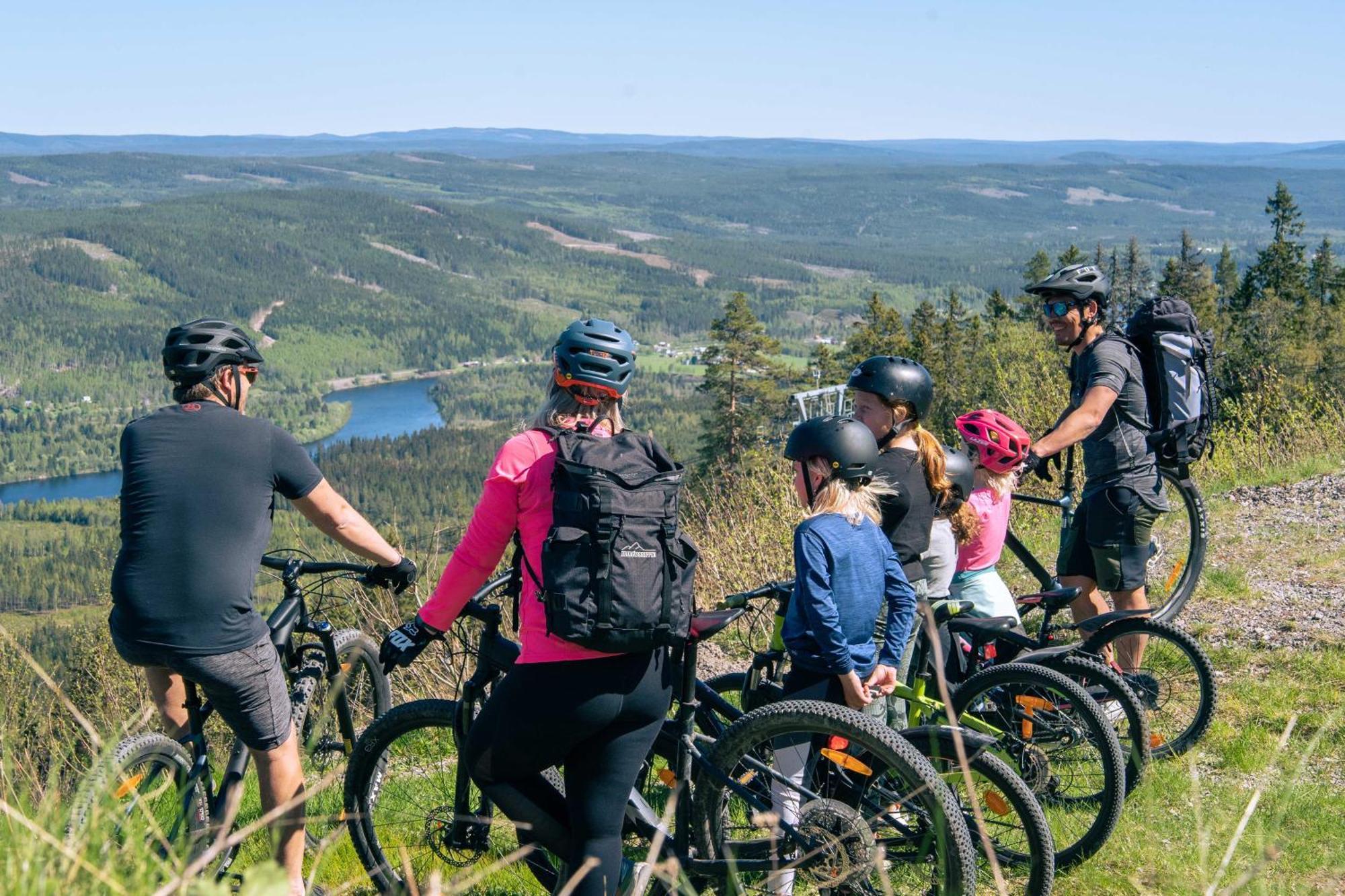 Lyxig Stuga Pa Branaesberget Sysslebäck Buitenkant foto